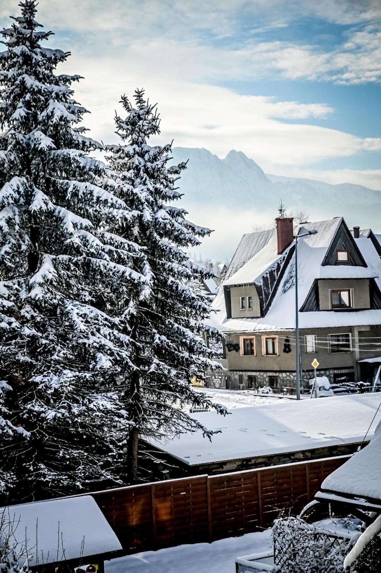 Tatarek Zakopane Bed & Breakfast エクステリア 写真